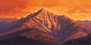 HP OrangeMountainVector